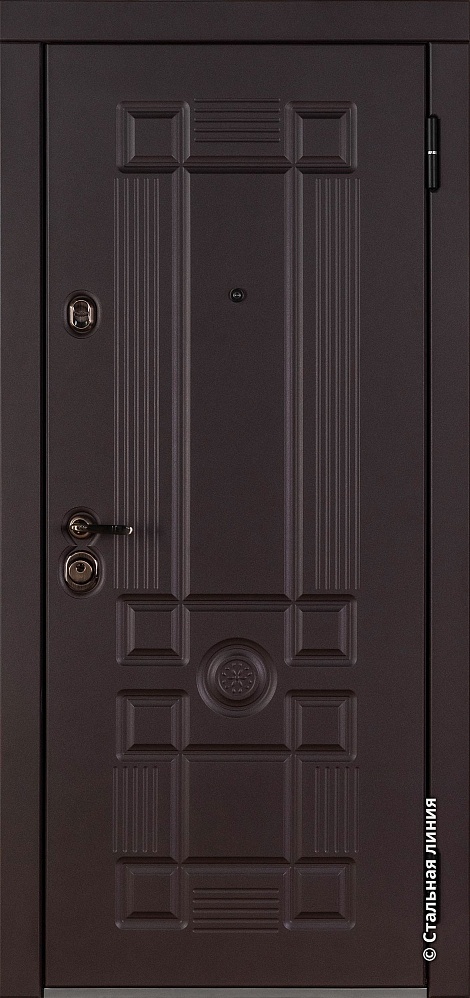 Входная дверь Пикадилли SteelLak Protect «Коричневый» с металликом