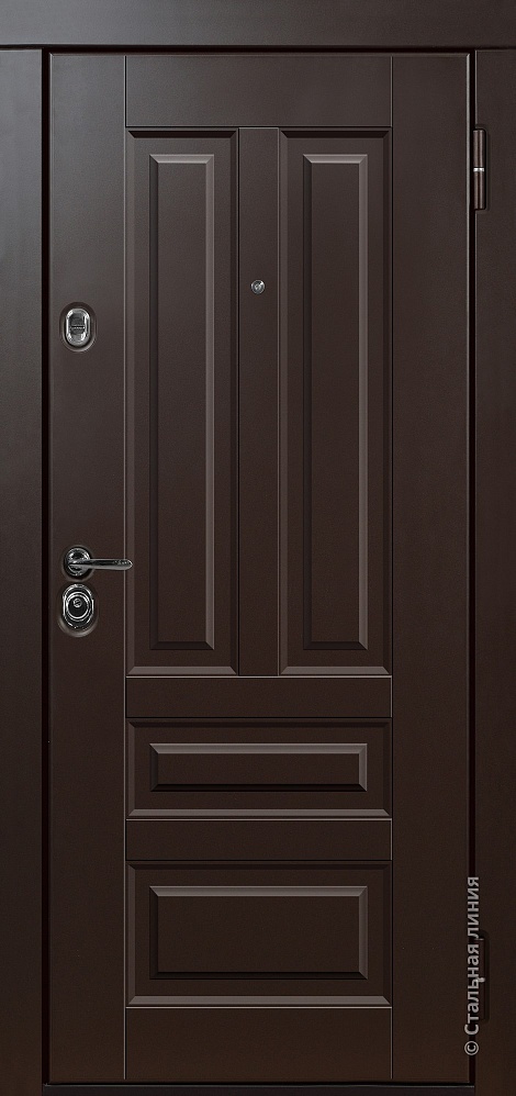 Входная дверь Бари 2 SteelLak Protect «Коричневый»