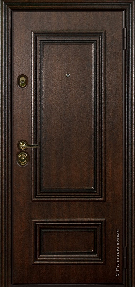 Входная дверь Поло SteelTex «Дуб тёмный» с чёрной патиной