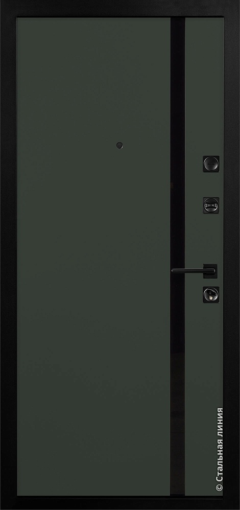 Входная дверь Чикаго Z SteelLak NCS S 8005-G20R