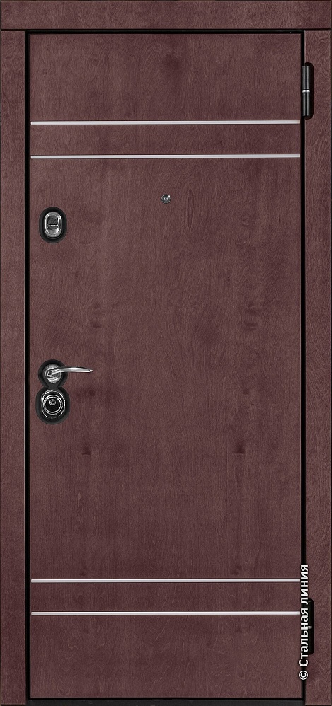 Входная дверь Винсент 1 Бьорк-панель «Аметист» с чёрной патиной