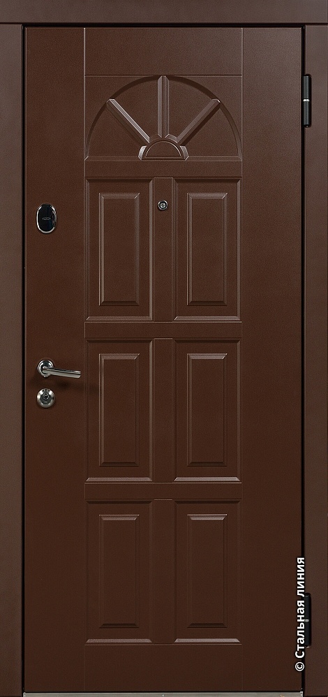 Входная дверь Амадора SteelLak Protect «Коричневый» RAL 8017